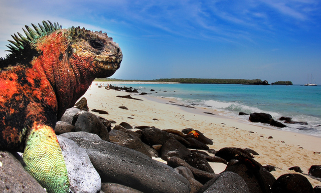 Ngất ng&acirc;y trước 10 điểm đẹp nhất Nam Mỹ